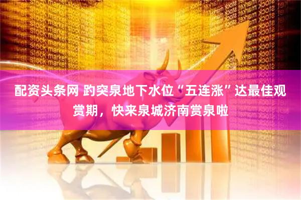 配资头条网 趵突泉地下水位“五连涨”达最佳观赏期，快来泉城济南赏泉啦